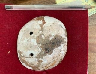 VERY RARE & AUTHENTIC Mississippian Shell Gorget Prehistoric Artifact Indian 2