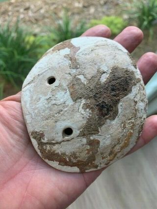 VERY RARE & AUTHENTIC Mississippian Shell Gorget Prehistoric Artifact Indian 3