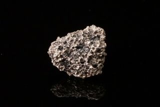 Rare Erlichmanite & Native Platinum Nugget With Chromite Alaska - Ex.  Lemanski