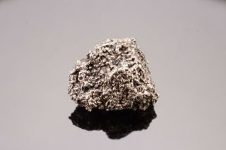 RARE Erlichmanite & Native Platinum Nugget with Chromite ALASKA - Ex.  Lemanski 3