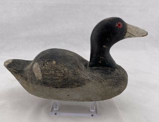 Gus Nelow Duck Decoy Rare “rasp” Coot Paint Solid Body Hunter Special