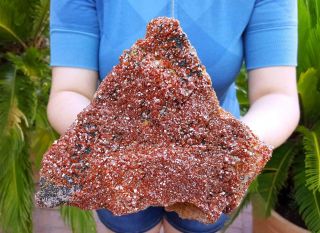 Fire Red Vanadinite Crystal Cluster Specimen Large Display Piece Rare Stunning