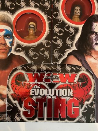 WCW The Evolution of Sting Wrestling Action Figure Set,  ToyBiz,  WWE,  WWF,  AEW 2