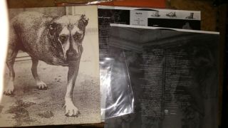 VTG ORIG 1995 ALICE IN CHAINS ST TRIPOD DOG LP VINYL 2 RECORD SET RARE 3