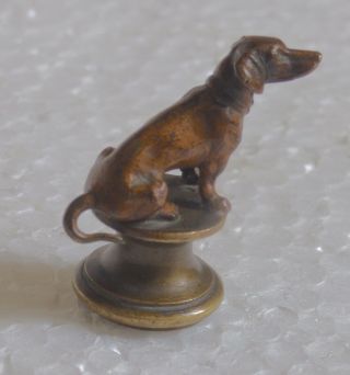 ° Stunning And Extremly Rare Wax Seal Vienna Bronze Dachshund Cold Painted 1900