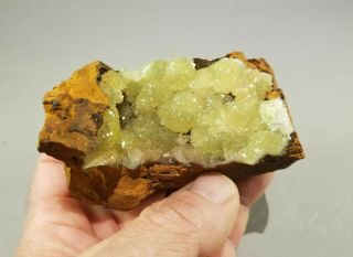 Rare,  Large,  Lustrous Bright Yellow Adamite Crystals,  Thick Coverage,  Ojuela Mine