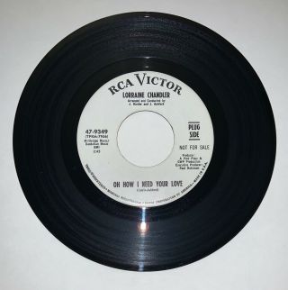 Rare Detroit Northern Soul - Lorraine Chandler - I Can 