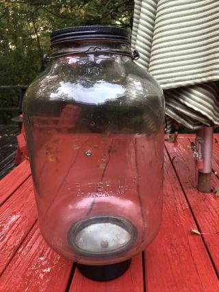 Vintage Rare Lighted D - B Fish Lure Patent Pending Glass Minnow Jar (large)