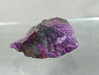 Dkd 51u/ 253.  8grams Very Rare To Find Sugilite Rough In This Size And Quailty
