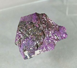 dkd 51U/ 253.  8grams Very Rare to find Sugilite rough in this size and quailty 3