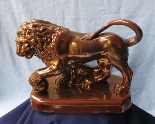 Rare Antique Staffordshire Copper Lustre Pottery Medici Lion C.  1830 - 40 - Repaired
