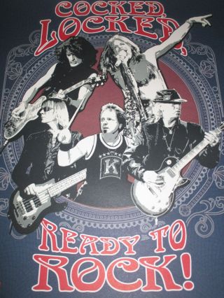 Rare AEROSMITH Fenway Park 8/14/10 Concert Tour Poster STEVEN TYLER / JOE PERRY 3