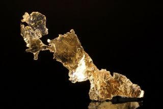 Rare Locale Native Gold Crystal Bronzewing Mine,  Australia