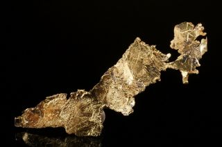 RARE LOCALE Native Gold Crystal BRONZEWING MINE,  AUSTRALIA 3