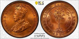 1926 Ceylon 1/2 Cent Pcgs Sp66 Red Extremely Rare King 