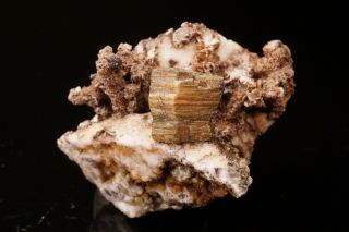 Rare Extraordinary Donnayite Crystal Mont Saint - Hilaire,  Canada