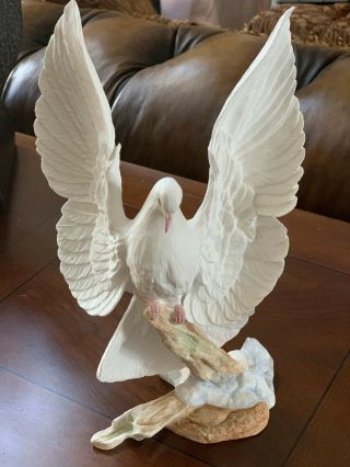 Rare Boehm Bone Porcelain Bird Sculpture " Wedding Dove " 20246