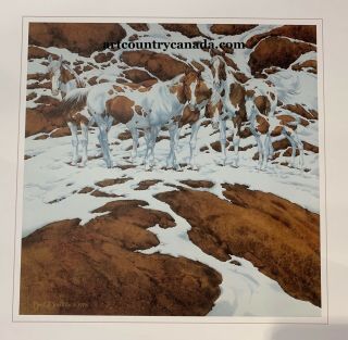 Bev Doolittle " Pintos " Wss Rare Art Print With Write Up Camouflage Horses