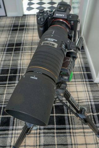 Sigma 180mm Macro Full Frame F3.  5 Apo Ex Rare In Sony Minolta Adapts To Fe Or E