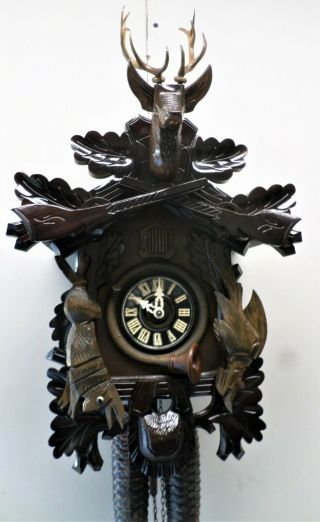 Stunning Rare Large German Black Forest Hunter Deer 8 Day Carved Cuckoo Clock