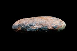 [GEL01048] Rare Museum Grade Small Theropod Dinosaur Egg Fossil 2