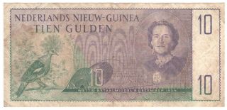 Netherlands Guinea 10 Gulden 1954 P - 14 Rare