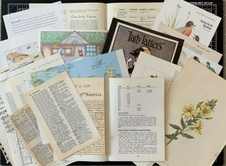 30,  Pages Of Vintage Book Pages From 20,  Different Books For Junk Journals