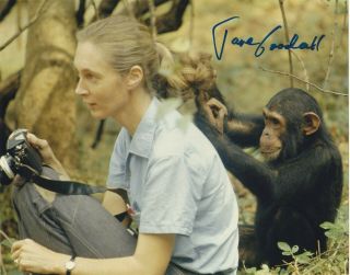 Jane Goodall Signed Autograph Chimpanzees 8x10 Photo Exact Proof 4