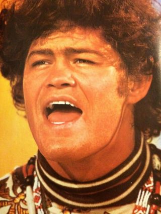 Micky Dolenz,  The Monkees,  Full Page Vintage Pinup