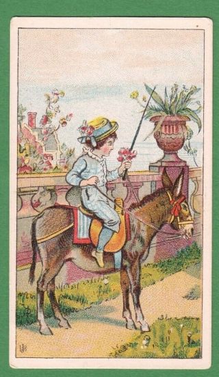 Victorian Card,  Boy Holding Posy,  Riding On Mule Or Pony Ljsb Or Jlsb Monogram