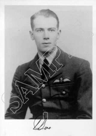 Spbb13 Wwii Ww2 Raf Battle Of Britain Doe Dso Dfc Hand Signed Photo