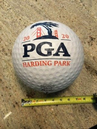 2020 Pga Championship Harding Park Inflatable Golf Ball 7 "