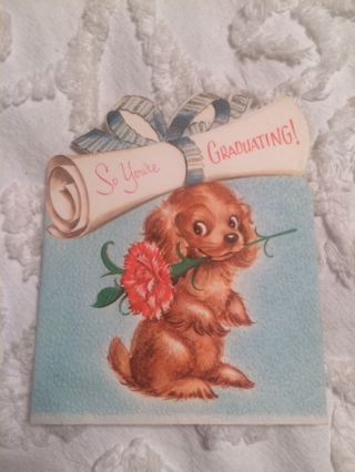 Vintage Greeting Card Graduation Puppy With Carnation And Diploma On Head