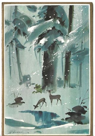 Vtg Greeting Card - Deer In The Forest - Approx 5 X 7 "