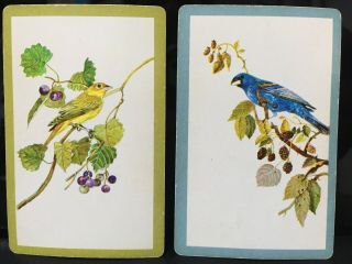 2 Vintage Single Swap Playing Cards Song Birds on Berry Branch 2