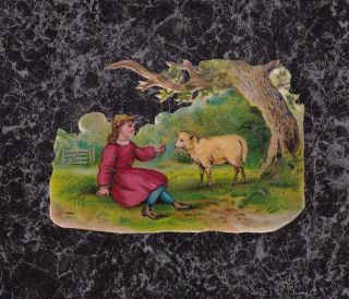 Victorian Die Cut Scrap Little Girl Gives Flower To Lamb 3.  25 X 2.  25 "