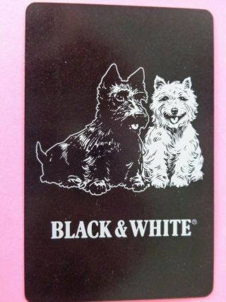 Vintage Single,  Black And White Dog 
