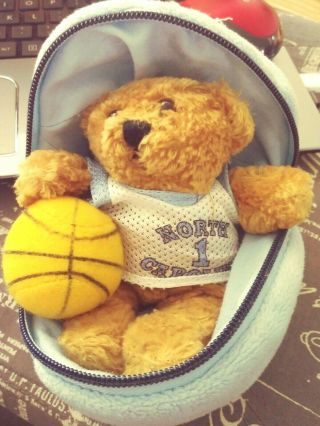 Vintage 2000 Plushland Unc Tar Heels Basketball & Team Bear Stuffed Plush Toy