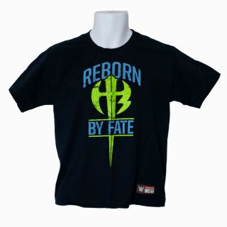 The Hardy Boyz Reborn By Fate Wwe Boys T - Shirt Blue Size L Large Youth
