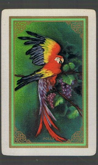 Swap Playing Cards 1 Vint U.  S.  N/nmd U.  S " Polly " Us114 Bird/parrot