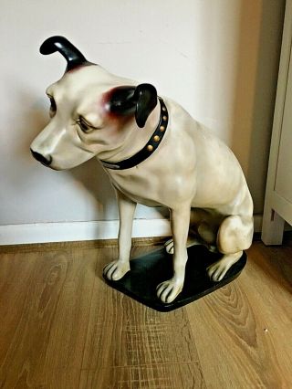 Vintage Hmv Nipper Dog Statue His Masters Voice Full Size 20” Great Item Rare