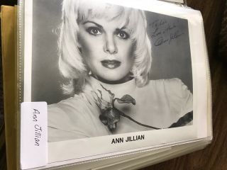 Ann Jillian It 