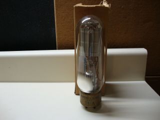 1 Nos Western Electric 242a Radio Vacuum Tube Type 242 - A Transmitting Triode