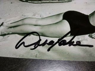 ABBE LANE Authentic Hand Signed Autograph 4X6 Photo - SEXY ACTRESS & SINGER 2