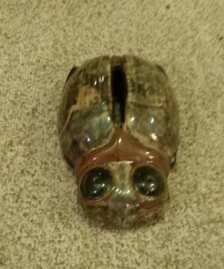 1920s Brush - Mccoy Pottery Crystal Radio Mystic Bug Shell 2