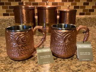 Pier 1 Imports Owl Moscow Mule Mug (1) Stainless Steel Copper Finish Nwt