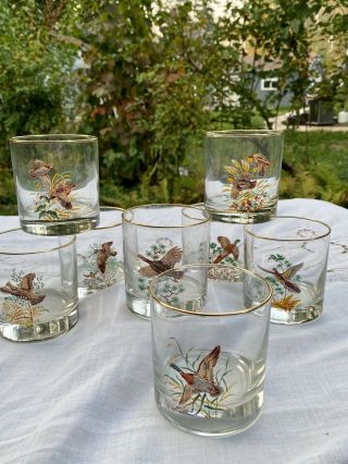 Vintage 8 Game Bird Lowball Cocktail Glasses 3 1/2” Tall