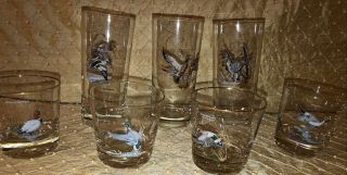7 Ned Smith Waterfowl Glasses Highball Mcm Hand Painted Gold Rim Bar Vintage