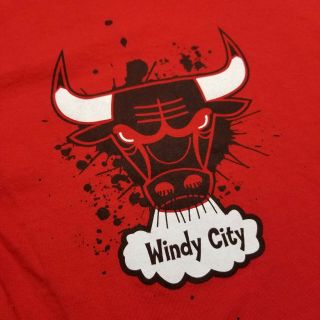 NBA Chicago Bulls Mens T - Shirt sz L We Love Fine Windy City Red Hardwood K56 2