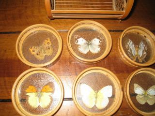 Vintage Butterfly & Wicker 6 Coasters with Caddy Made in Japan 3